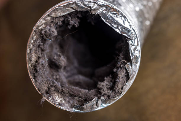 Best Home Air Vent Cleaning  in Renovo, PA